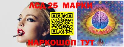 кокс Кандалакша