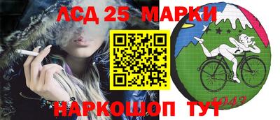 кокс Кандалакша